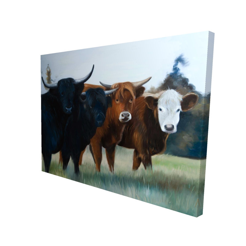 Quatre quatre vaches Highland | Animaux de l'Ouest