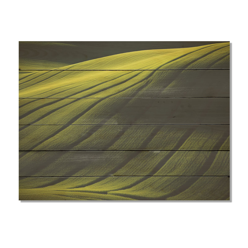 Photographie de prairie verdoyante - Art mural sur bois de pin naturel, H 10 po x l 20 po