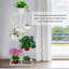 Plant Stand-1119062097