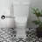 Voltaire One-Piece Elongated Toilet Dual-Flush 1.1/1.6 gpf-44636279-82677394
