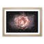 Pink Tipped Rose Flower - Picture Frame Graphic Art Print-56861648-56861649