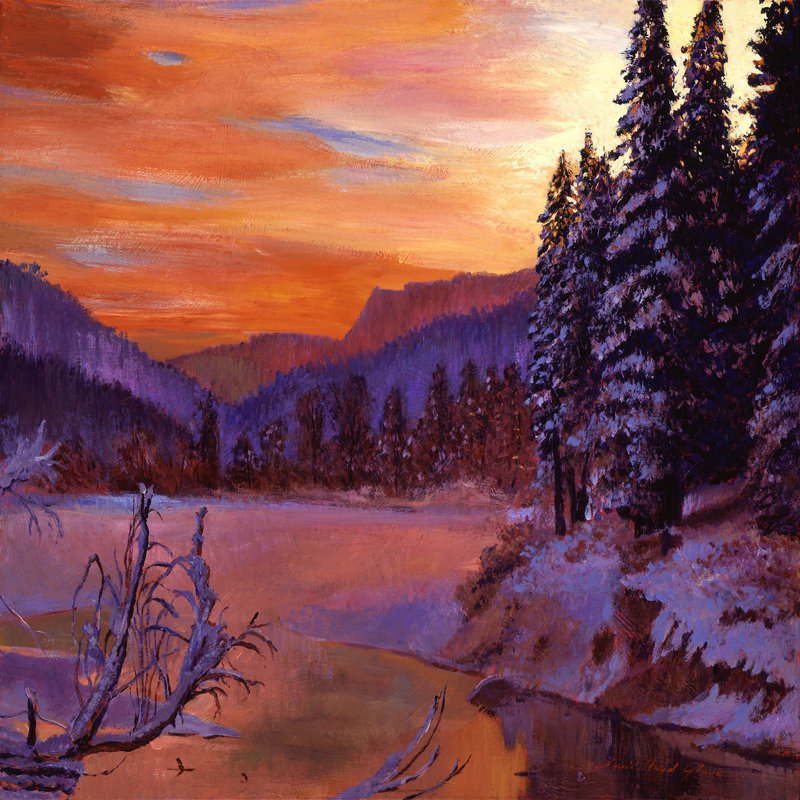 Ensembles de housse de couette DiaNoche en microfibre par David Lloyd Glover - Winters Day Break