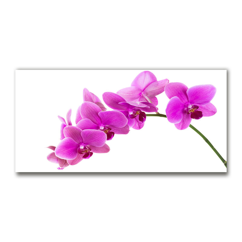 Pink Orchid - No Frame Print on Canvas