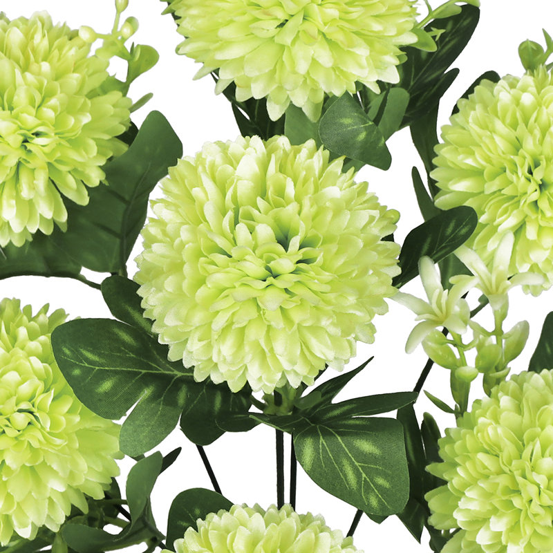 Pom Pom Mum Flower, Vert clair
