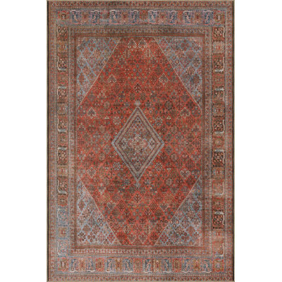 Washable Traditional Themed Orange Decorative Area Rug