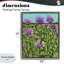 Cadre flottant Ruby Throated Hummingbird & Beebalm, design par Sarah Waldron Kimball-97777014-97777015