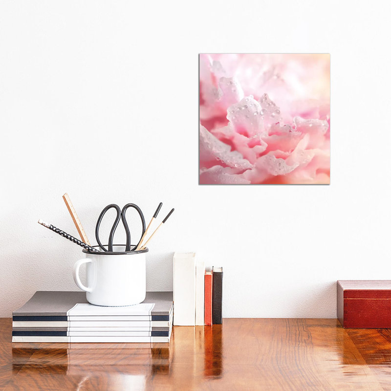 Peony Frills - Wrapped Canvas Print, 30.48 cm H x 30.48 cm W