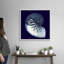 « Indigo shells VII » par vision studio-impression-1808968368-1808968362