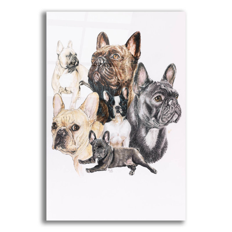 «French Bulldog 2» par Barbara Keith, impression non encadrée, H 16 po x l 12 po x P 0,13 po