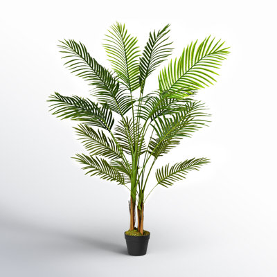 60" Palm Tree with Base Included