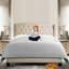 Upholstered Wingback Platform Bed, Bed Frame with Nailhead Trimmed Wingback and Button-Tufted-886749555-886749565