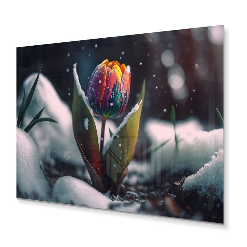 Gurtner Plants & Flowers Wall Decor on Metal, 12" H x 20" W x 1" D