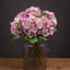 Anastasija Arrangement-1277974641-1277974640