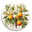 Oranger orange - art rond en métal-1331513673