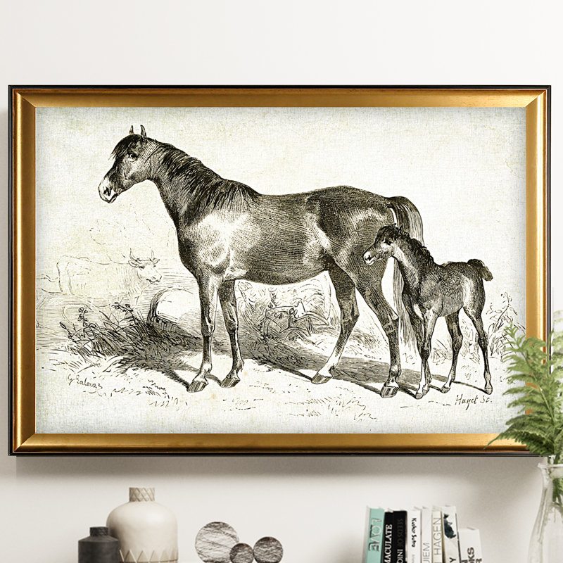 « équin sketch viii », impression, Cadre doré, H 27 po x l 39 po x P 2 po, Pas de tapis