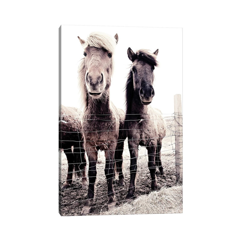 Iceland Horse Asti and Bessa 09 1 Piece Wall Art on Canvas, 45.72cm H x 30.48cm W x 1.91cm D, Wrapped Canvas