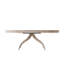 Composition Oval Mahogany Wood Dining Table