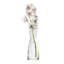 Ypsilon Glass Carafe-53918383