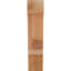 Genouillère Balboa-87145354-29309786-31228637