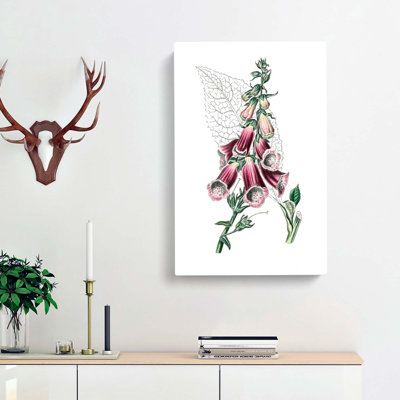 Foxglove Flowers Illustration - Wrapped Canvas
