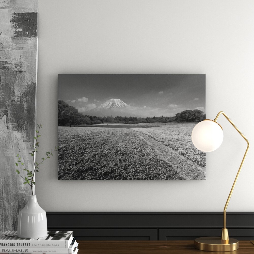 Leinwandbild „Berg Fuji Shibazakura in Yamanashi, Japan“, Fotodruck