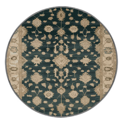 Machine Washable Overdyed Gray Area Rug