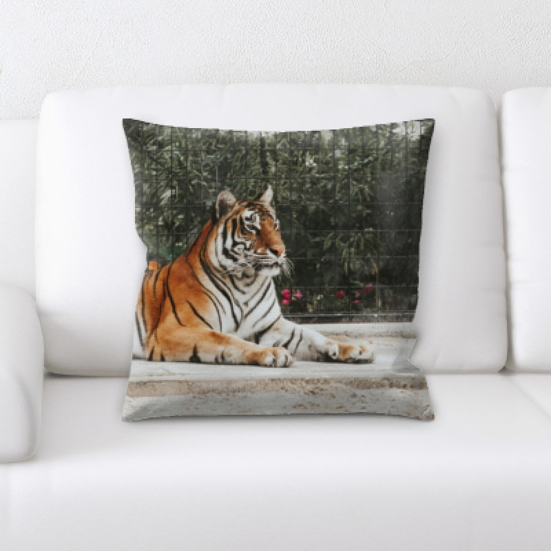 Coussin tiger Wunder