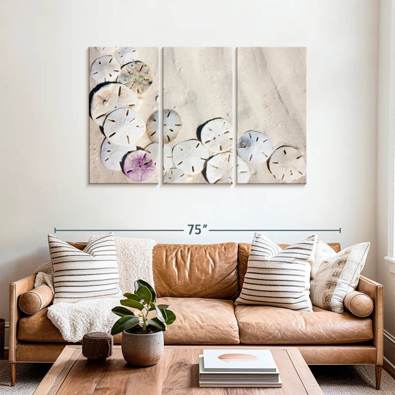 Brampt Beach Sand Dollars, 36" H x 57" W