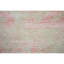 Brookhaven Oriental Area Rug in Coral/Ivory-72367323