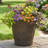Kehlani 19.5" x 19.5" x 17.5" Round Sable Polyresin Outdoor Planter Pot - Weathered Sable - Set of 2-1439233578-1478512455-1595174684
