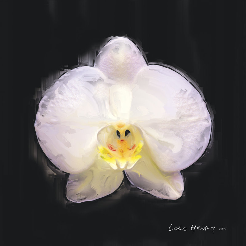 Vibrant Flower IV - Wrapped Canvas Print, 30cm H x 30cm W x 3.8cm D