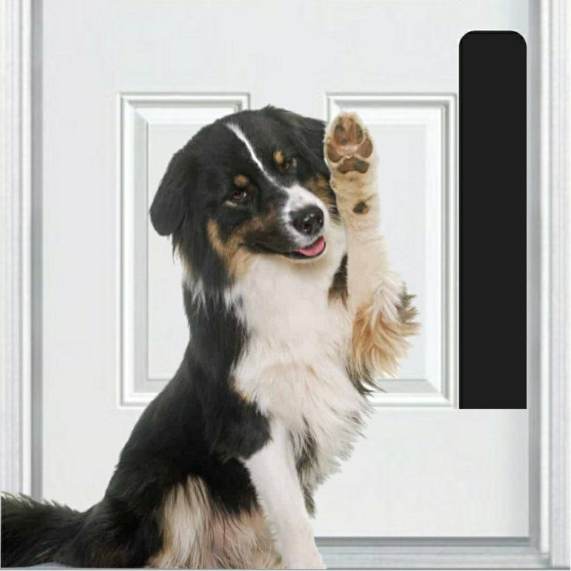 Accessoire de porte pour animaux Acropolis, Noir satiné, H 22 po x l 6 po x P 0,04 po