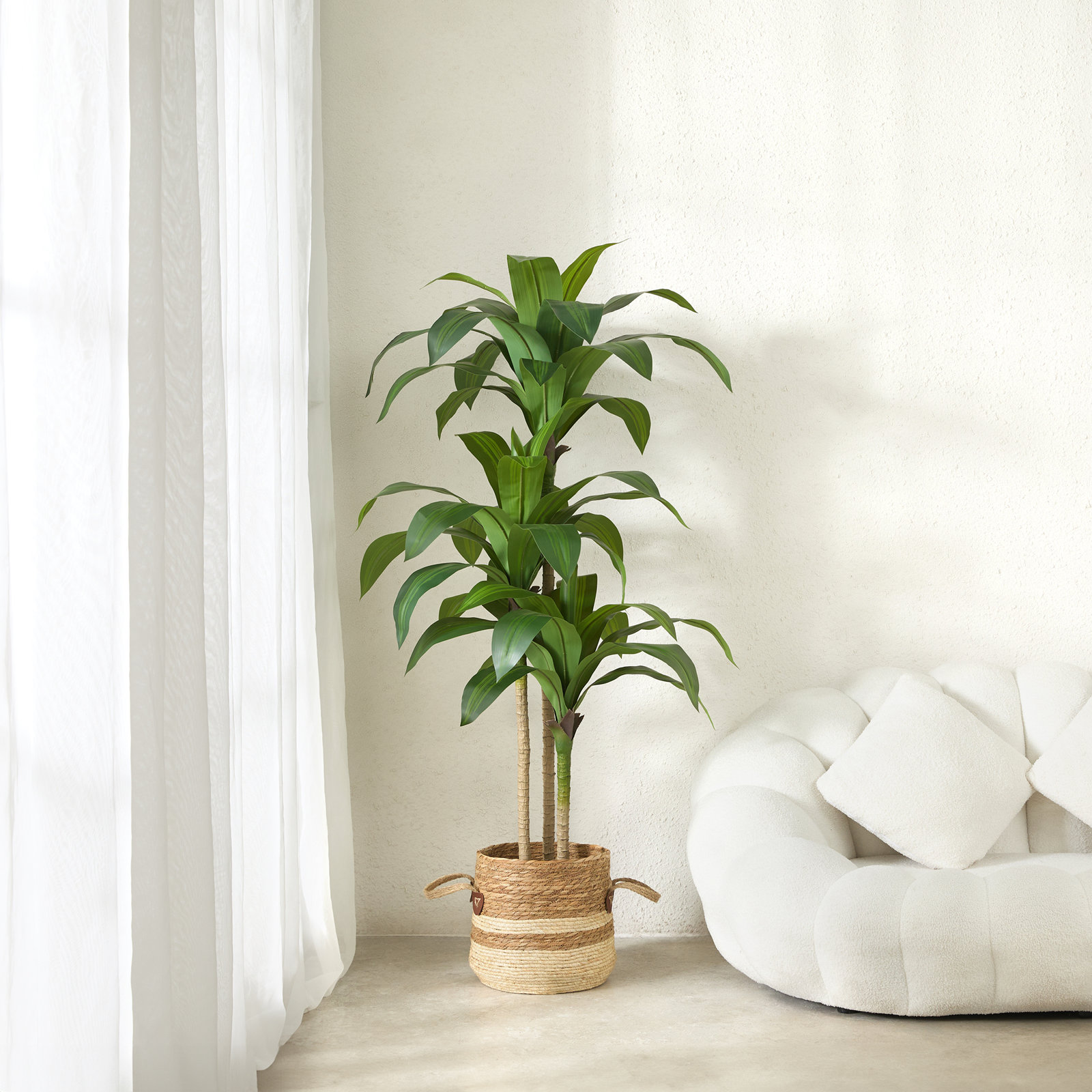 Adcock 72" Dracaena Tree in Pot, Green, 60" H x 22" W x 22" D