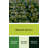 Fruit Lime Key Green Canvas Wall Art-818713729