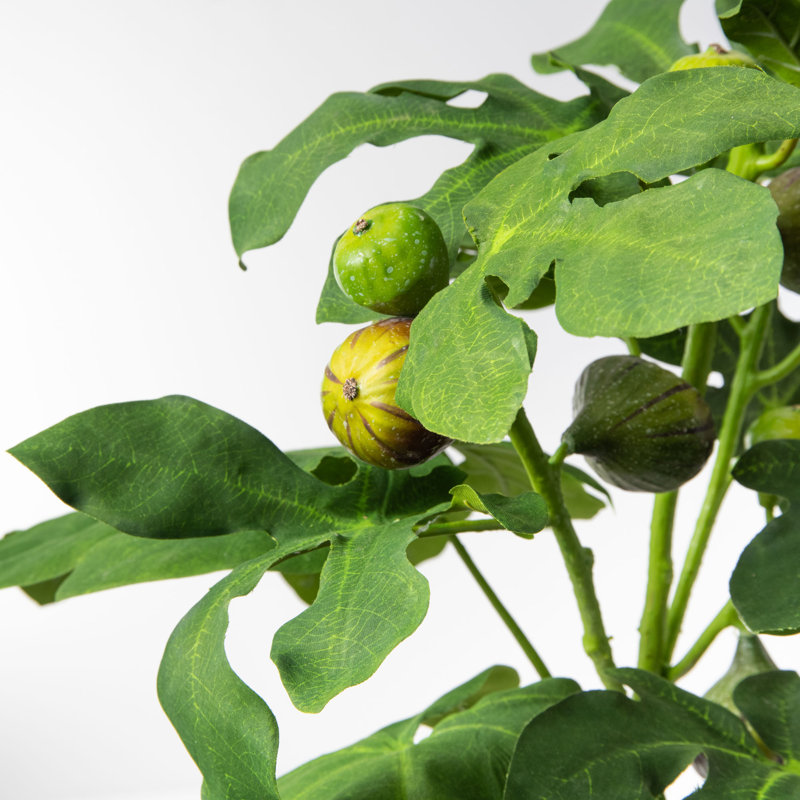 Polyether Polyurethane (PU) Fig Arrangement in Vase