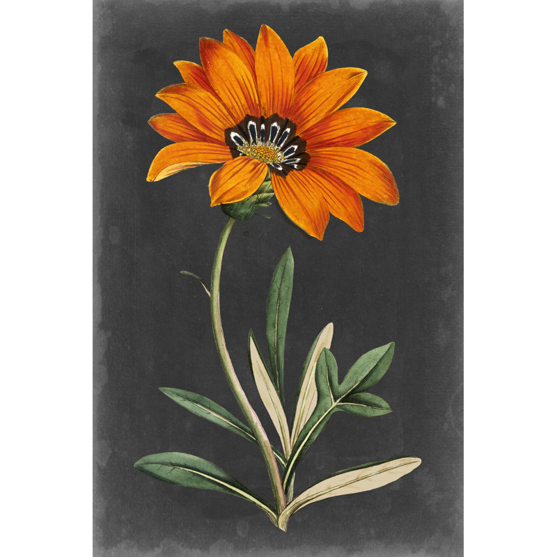 «Dramatic Floral I», peinture sur toile, H 12 po x l 8 po