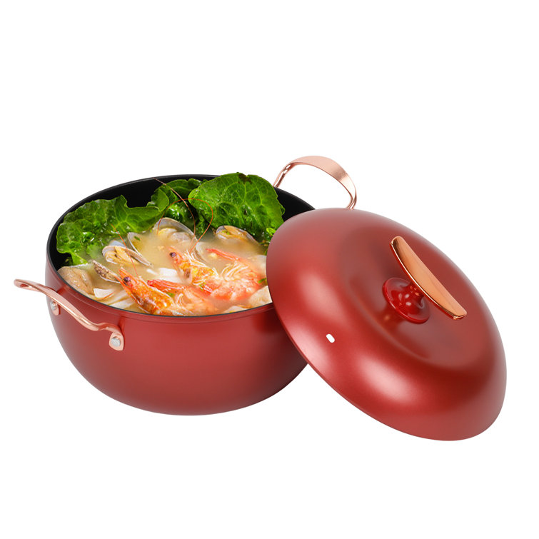 https://assets.wfcdn.com/im/86702477/resize-h755-w755%5Ecompr-r85/2492/249269112/5.4qt.+Non-stick+Induction+Stockpot+with+Lid.jpg