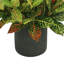 Kamila Faux Croton Plant in Pot-107949498