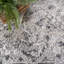 Tapis gris délavé à médaillons tissé à la machine de style traditionnel Fullwood-980587899