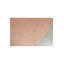Rug Area Rug in Pink