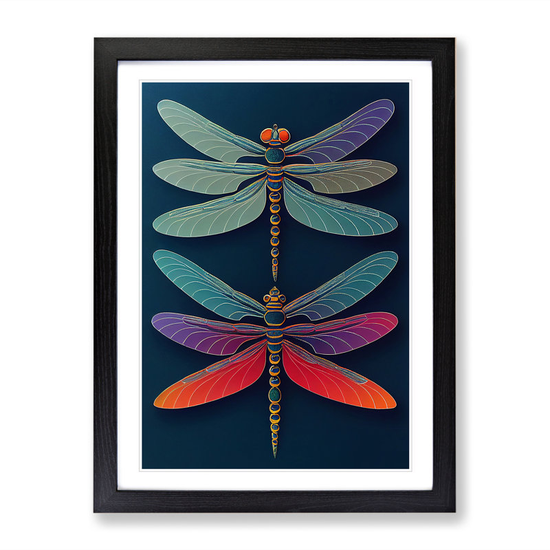Unbelievable Dragonflies - Single Picture Frame Print, Black Framed, 64cm H x 46cm W x 2cm D