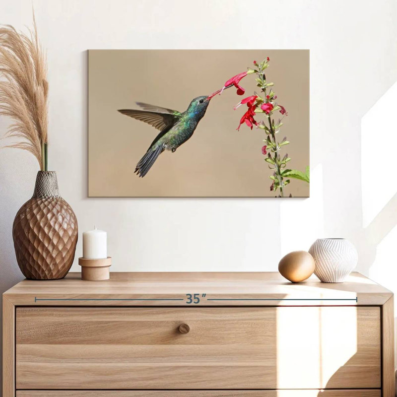 Broad-Billed Hummingbird Drinking Nectar, 16" H x 24" W