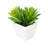 2'' Faux Cactus Succulent in Glass Pot