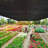 Durable Sun Shade Cloth for Garden-114928212
