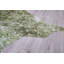 Tapis vert / blanc Robb
