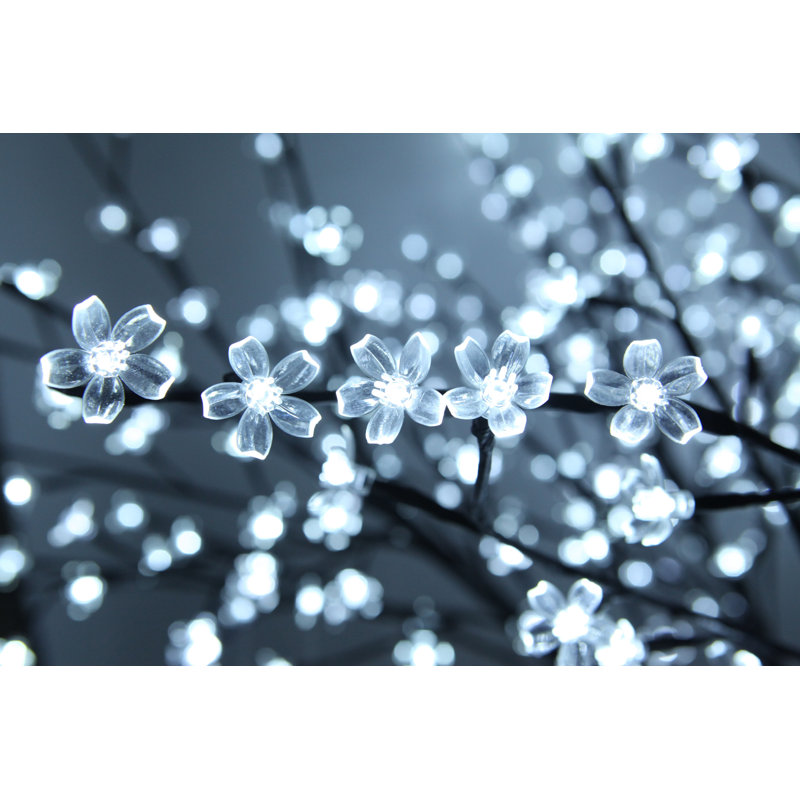 Cherry Lighted Display