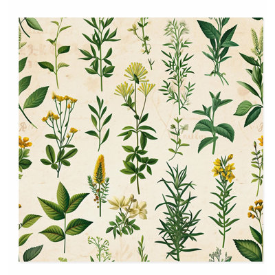 «Botanical Plants & Wildflowers Array I Cottage», reproduction d'art non encadrée