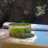 Preserved Moss Paperweight Art