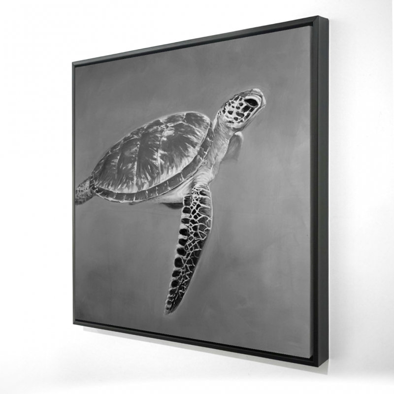 " Grayscale Aquatic Turtle "