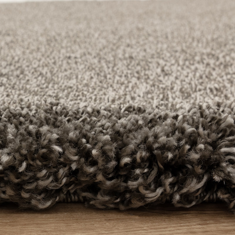 Taiwo Shaggy Taupe Area Rug, Rectangle 80 x 150 cm